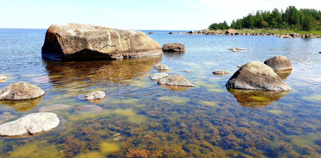 Lahemaa national park